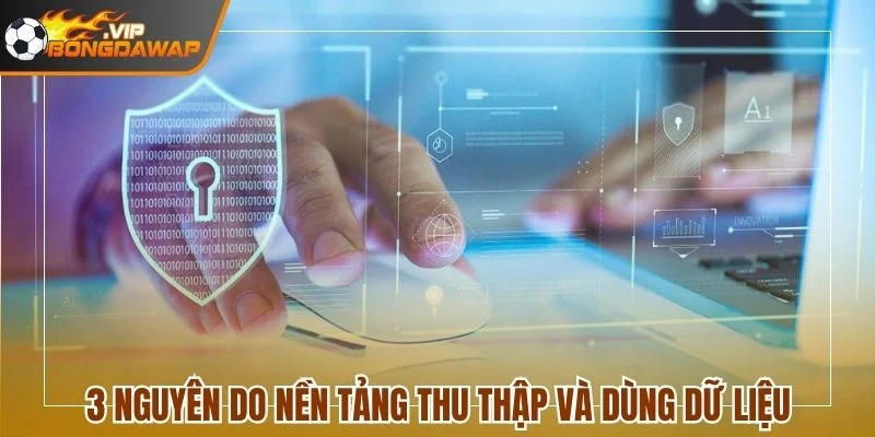Khám Phá Quyền Riêng Tư Toàn Diện Của Trang BongdaWap 2 3 nguyên do nền tảng thu thập và dùng dữ liệu