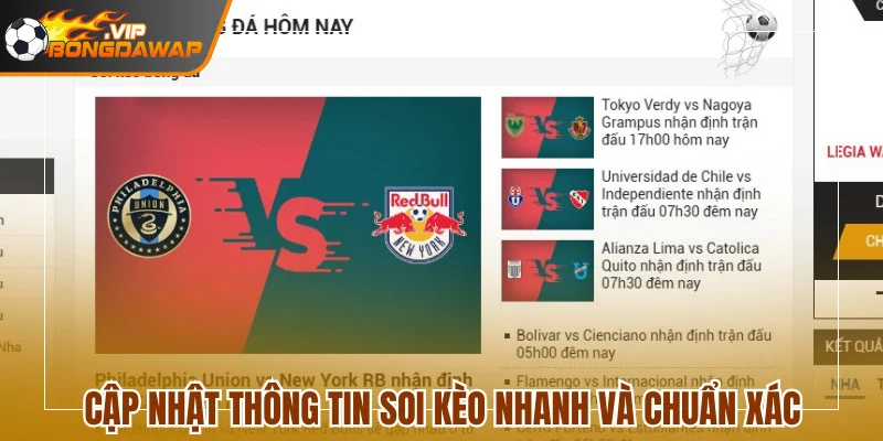 Cập nhật thông tin chuẩn xác với tốc độ nhanh chóng nhất