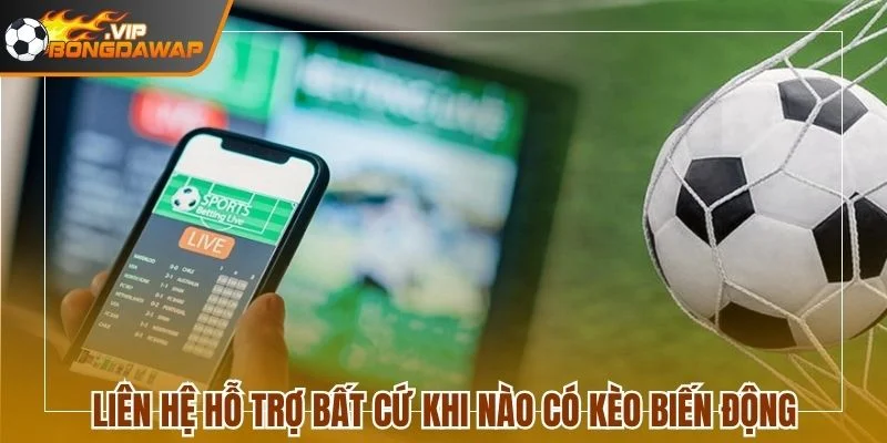 Tổng Hợp 4 Kênh Liên Hệ Hỗ Trợ Nhanh Chóng Tại BongdaWap 1 Liên hệ hỗ trợ bất cứ khi nào có kèo biến động